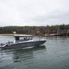 Buster Phantom Cabin - Image 13