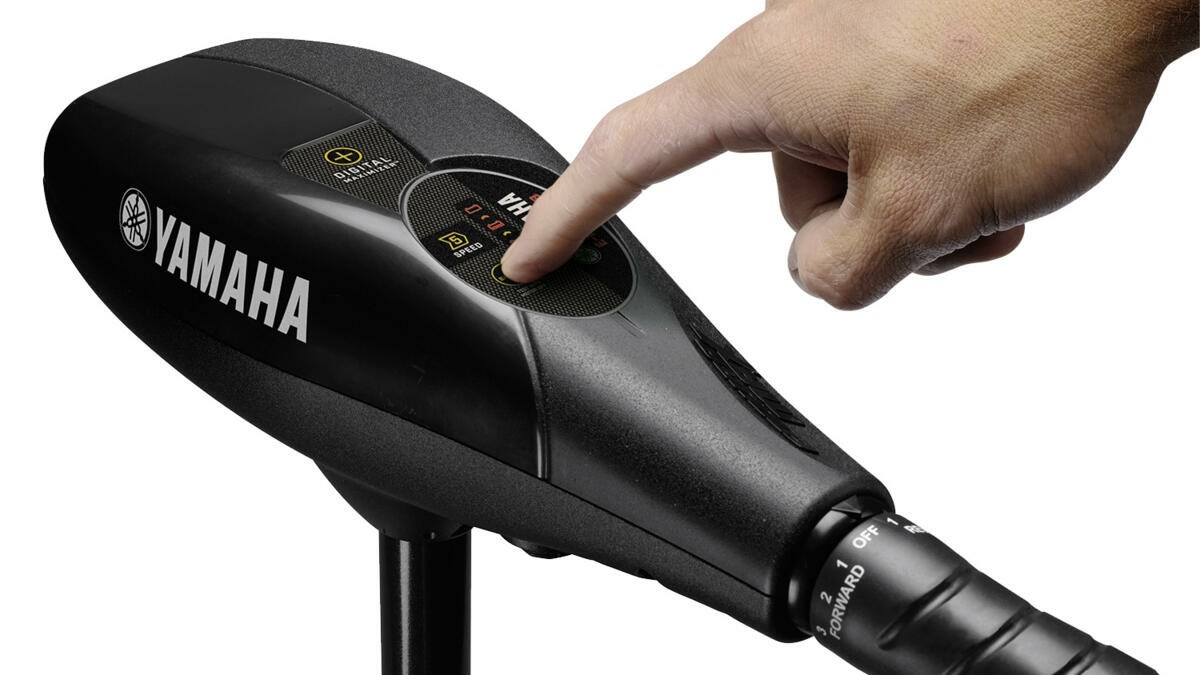 Push-to-test battery meter