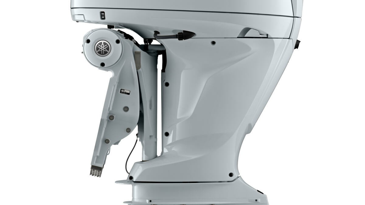 Fresh water flushing system