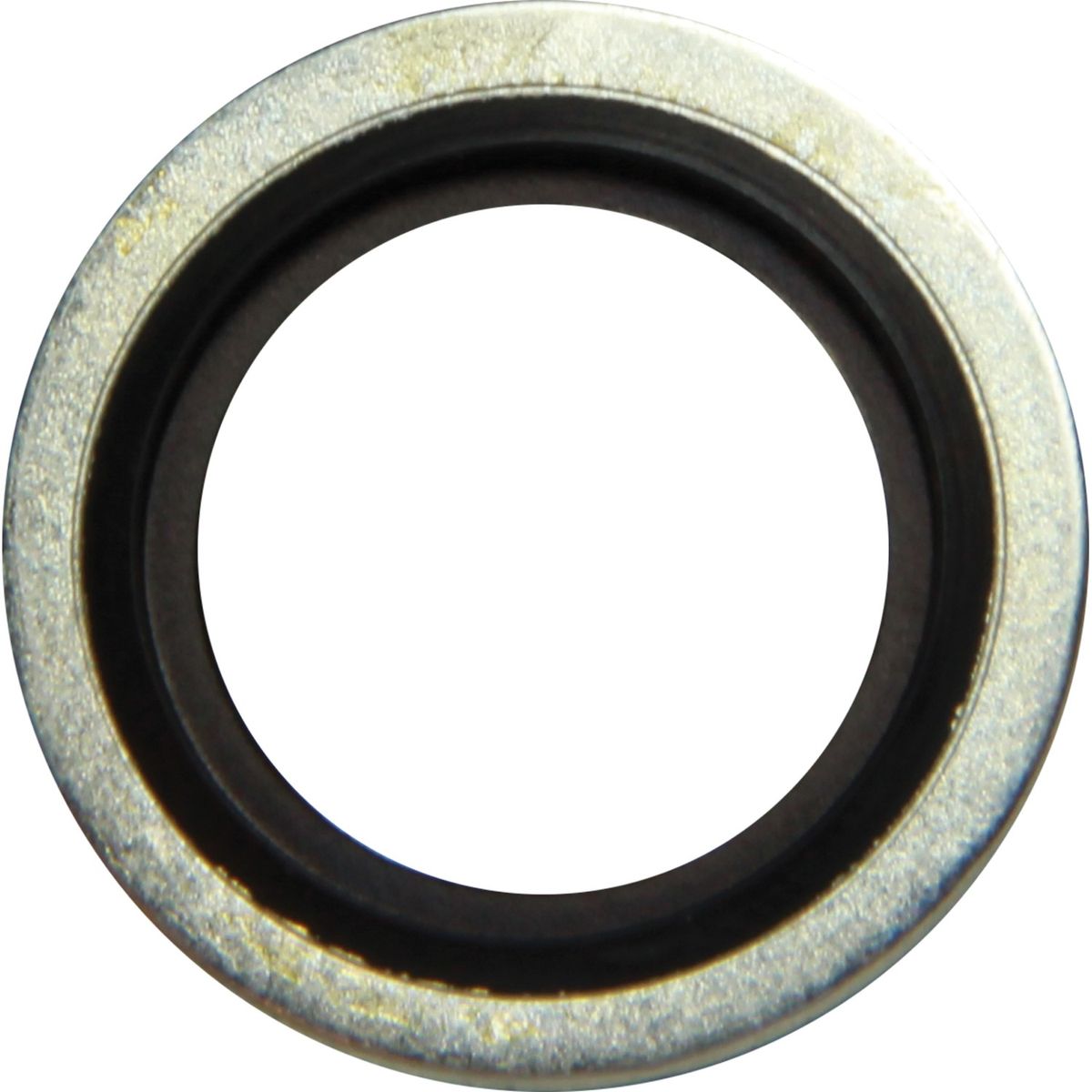 PRM CP1224 Bonded Seal (All Models Except Delta & 150)