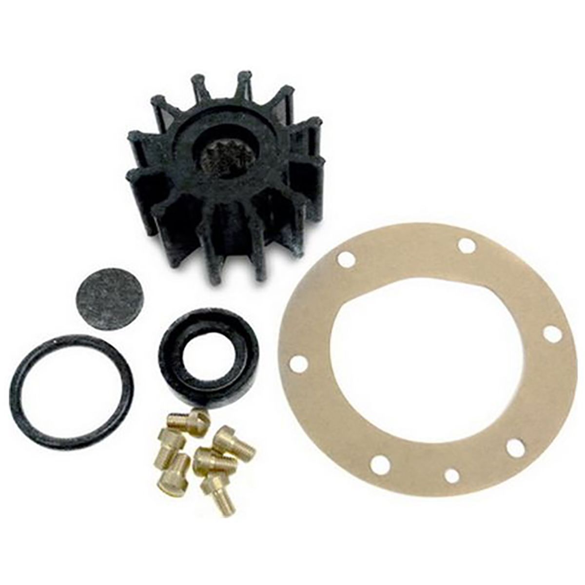 Jabsco SK225-01 Service Kit for Jabsco 6490- Flexible Impeller Pumps